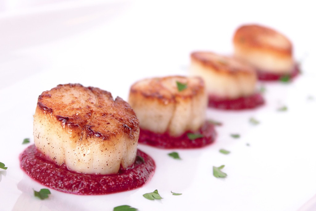 Seared Scallops with Beet & Roasted Garlic Purée