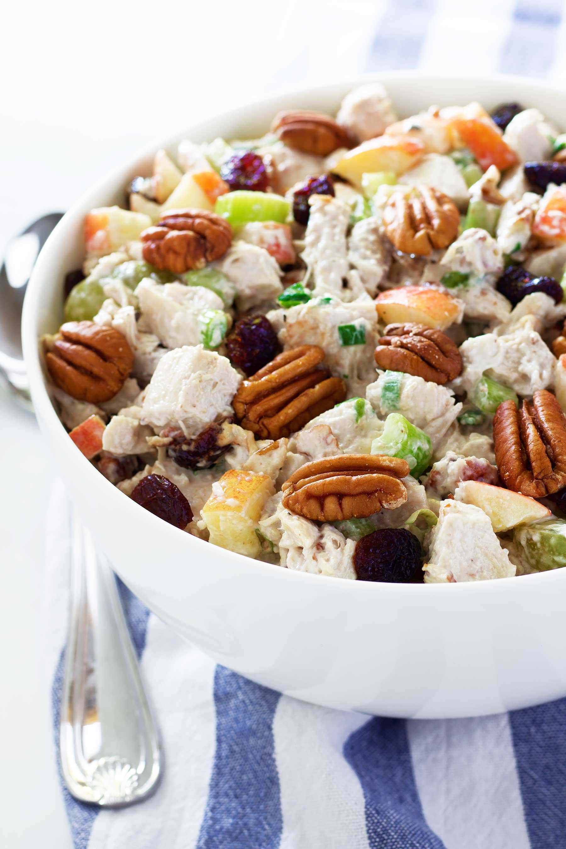 Use up your leftover turkey with this easy recipe! This Leftover Turkey Salad recipe is so simple to make, paleo, gluten free, Whole30, and can easily be made low carb and keto! 
#healthythanksgiving #healthychristmas #turkey #leftoverturkey #thanksgivingleftovers #christmasrecipes #jicama #apple #cranberries #crasins #pecans #glutenfreethanksgiving #glutenfree #ketothanksgiving #ketochristmas #lowcarbthanksgiving #lowcarbchristmas