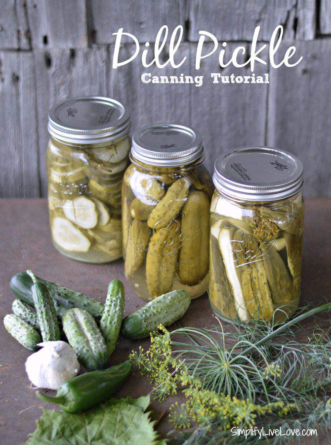 jars of pickles on table with cucumbers and herbs