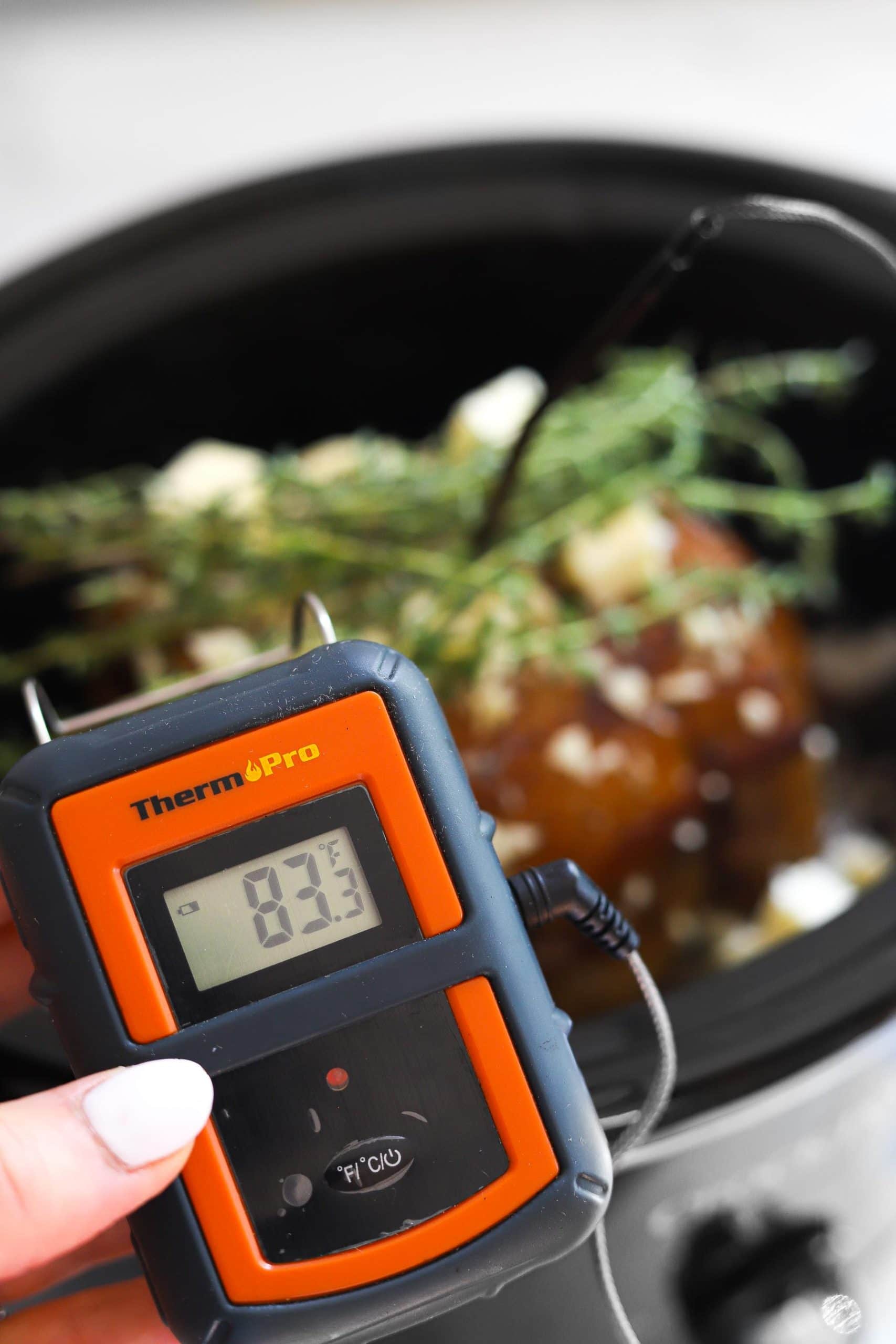 meat thermometer shown next to pork loin in crock pot