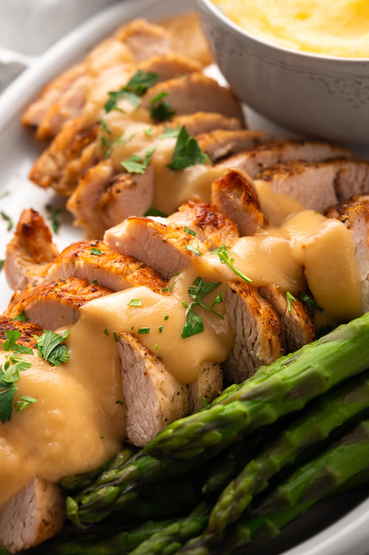 closeup view of sliced turkey with gravy
